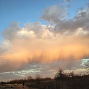 Meet your Posher, Esmeralda